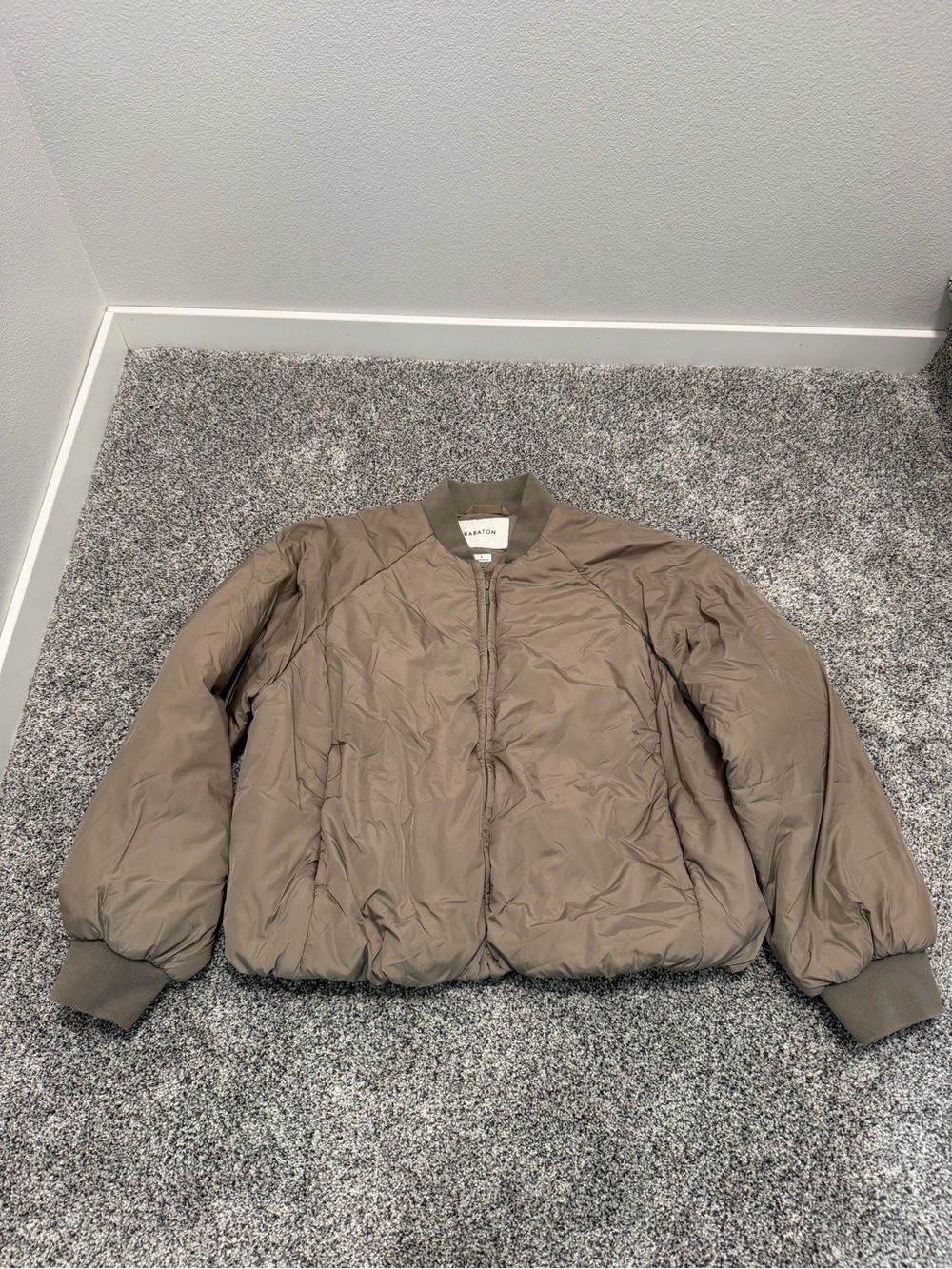 Aritzia Globe Bomber Jacket